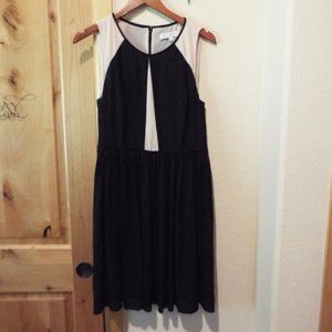 Anne Taylor Loft Dress Size 10